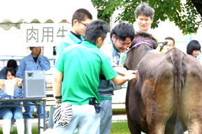 動物コース2