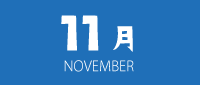 11月