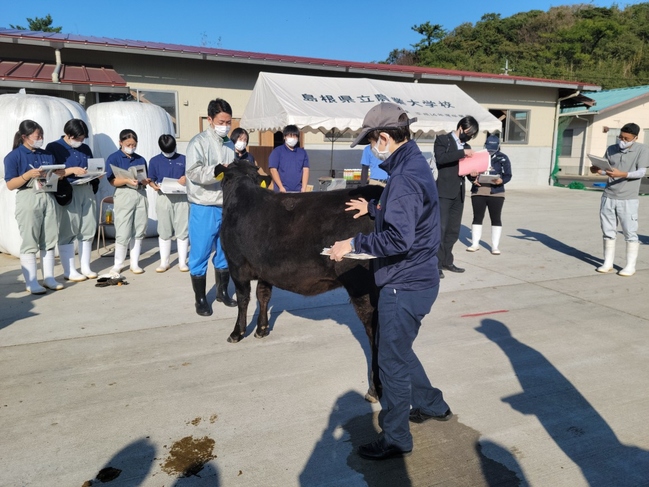 集畜指導