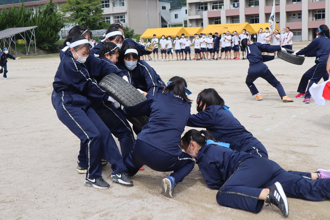 タイヤうばい