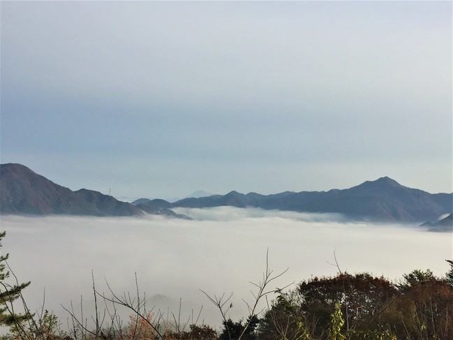 雲海 雲海」が観られるチャンスです！ | 島根県立矢上高等学校