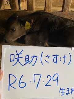 さすけ