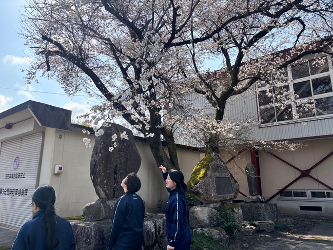 ４