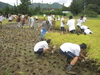 産業技術科の生徒が稲刈りを行いました。