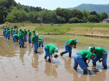 taue