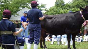 農業クラブ家畜審査競技県大会 (1)